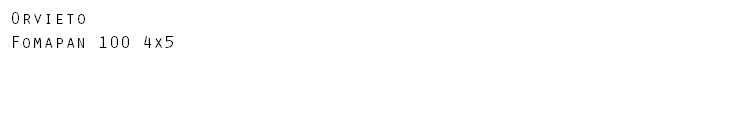 Orvieto Fomapan 100 4x5