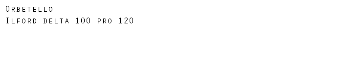Orbetello Ilford delta 100 pro 120