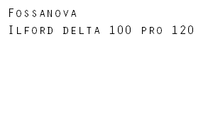 Fossanova Ilford delta 100 pro 120