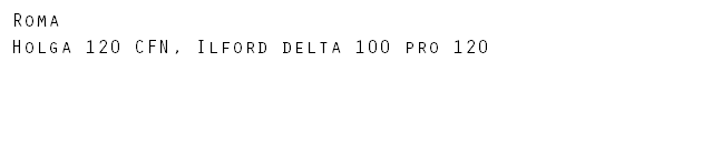 Roma Holga 120 CFN, Ilford delta 100 pro 120