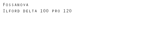 Fossanova Ilford delta 100 pro 120