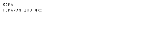 Roma Fomapan 100 4x5